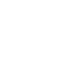 Perplexity